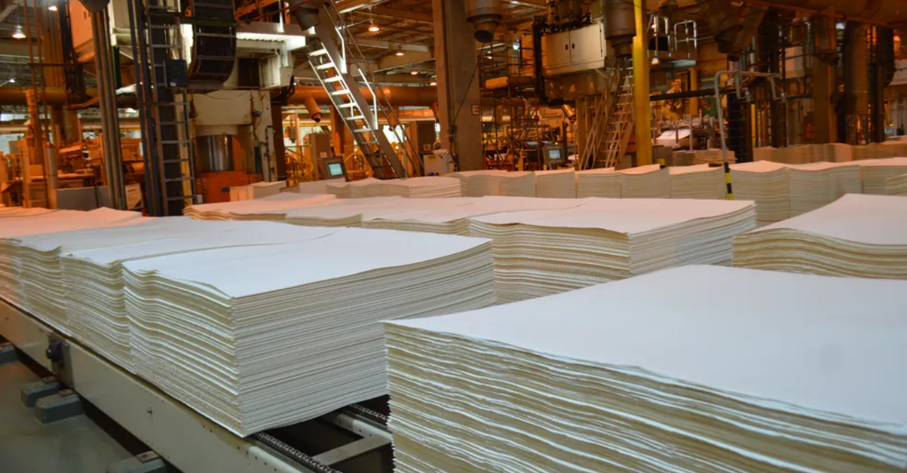 Papel e Celulose